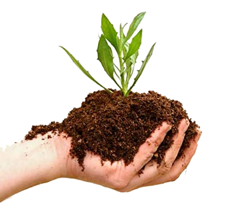 vermicompost manufacturer in rajasthan india