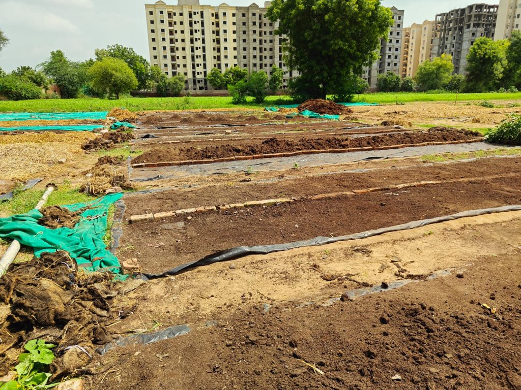 Vermicompost manufacturer and exporter | How to Mix Vermicompost in Soil Correctly